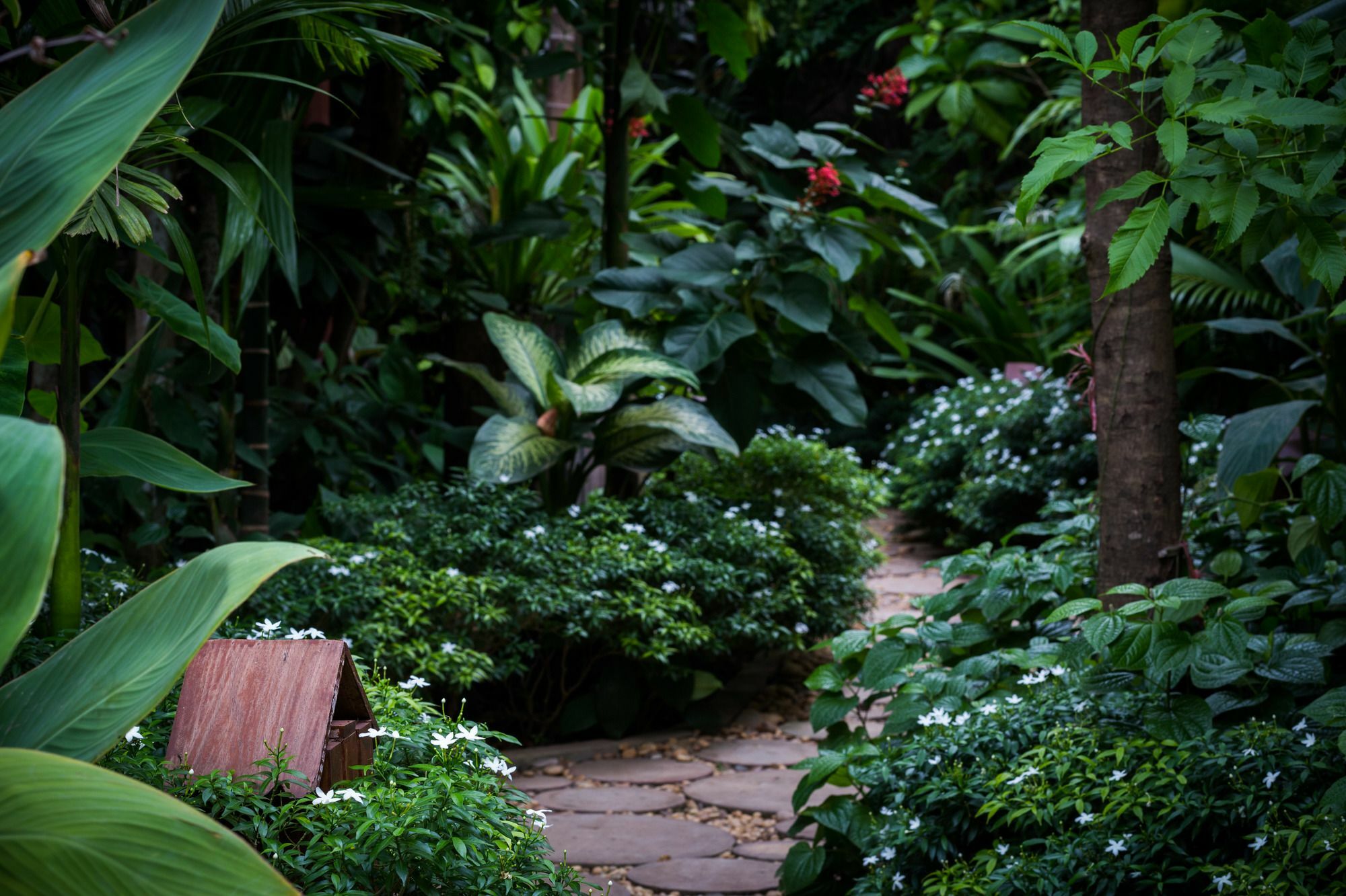 Malu Khmer Villa Siem Reap Bagian luar foto
